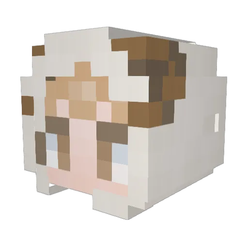 MiiNNN Minecraft avatar head, 3D render