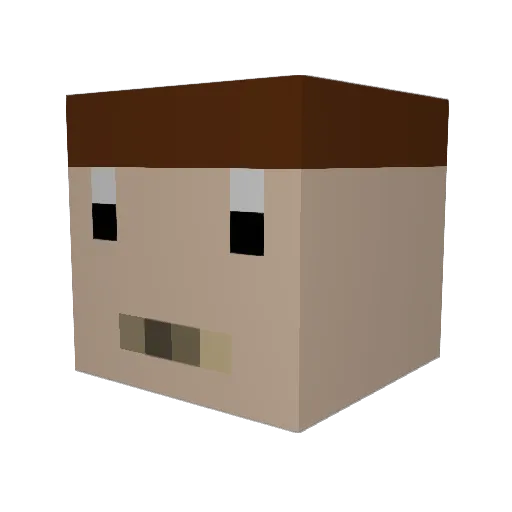 MiiWii46 Minecraft avatar head, 3D render
