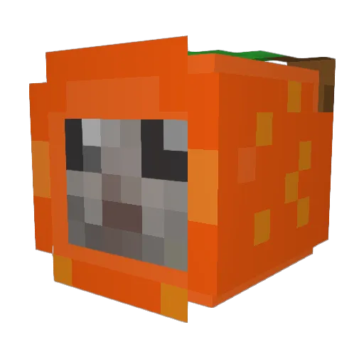 Mii_Noo Minecraft avatar head, 3D render