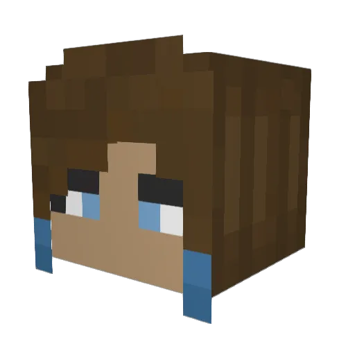 Miidnight2 Minecraft avatar head, 3D render