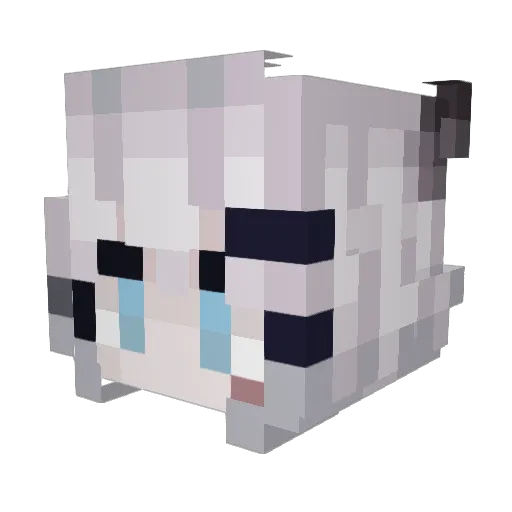Miikii_ Minecraft avatar head, 3D render