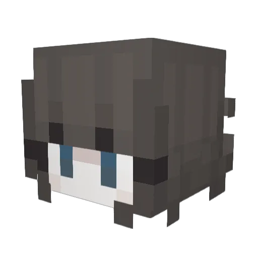 Miikii_ Minecraft avatar head, 3D render