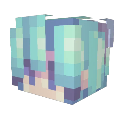 Miinaa_EN Minecraft avatar head, 3D render