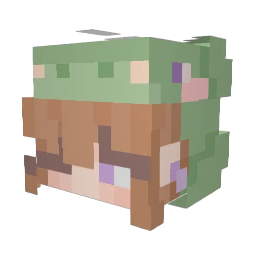 Miingoii Minecraft avatar head, 3D render