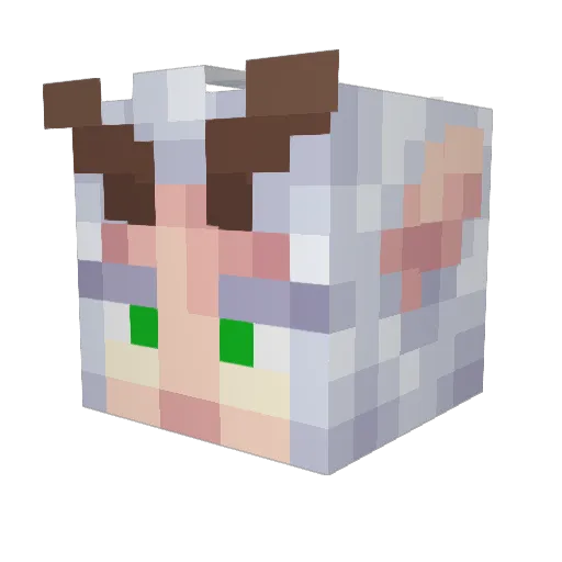 Miirskan Minecraft avatar head, 3D render