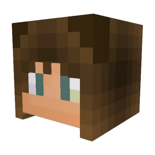 MiisterFister Minecraft avatar head, 3D render