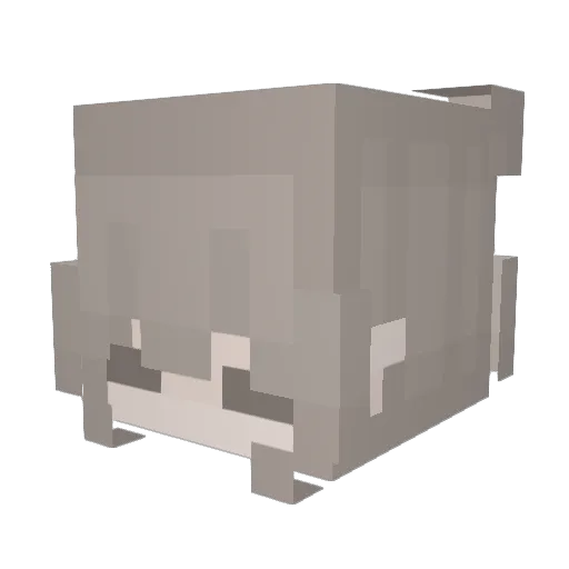 Miitam_Ridia Minecraft avatar head, 3D render