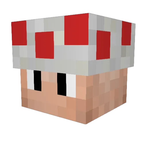 Miitsuuha Minecraft avatar head, 3D render