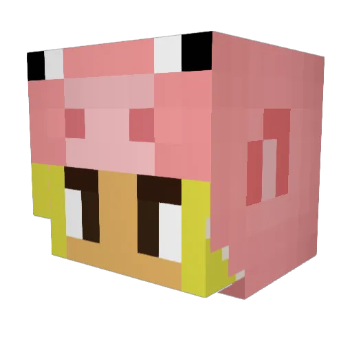 Mijntje06 Minecraft avatar head, 3D render