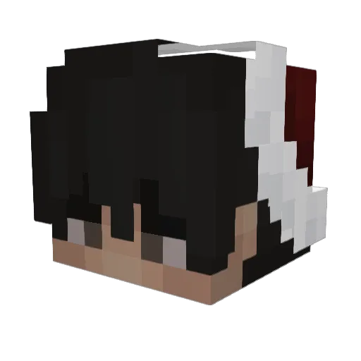 MikSokenXw Minecraft avatar head, 3D render
