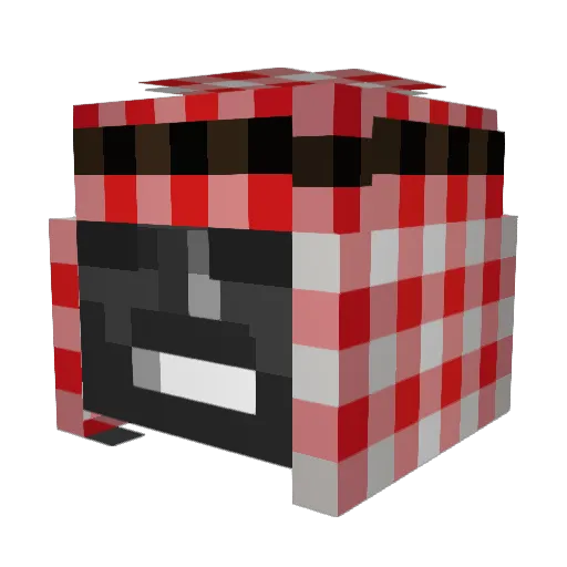 MikaBraeu Minecraft avatar head, 3D render