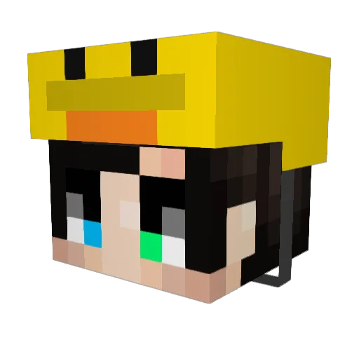 Mikael06 Minecraft avatar head, 3D render