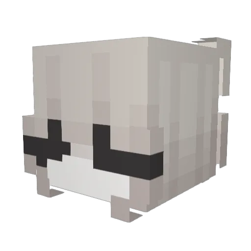 Mikael565 Minecraft avatar head, 3D render