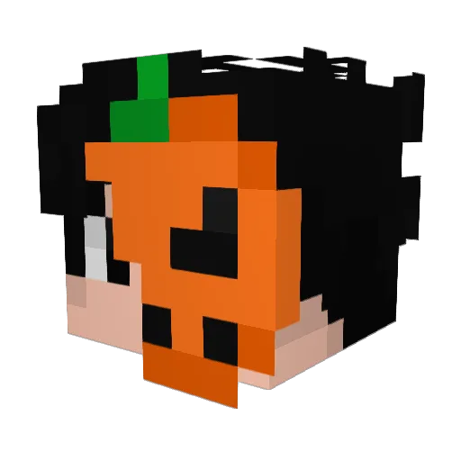 Mikael_TT Minecraft avatar head, 3D render
