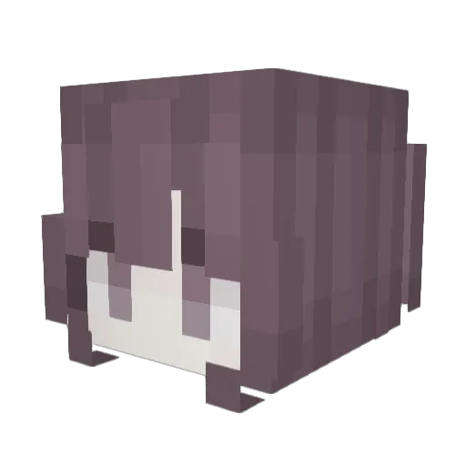 Mikan_Citrus Minecraft avatar head, 3D render