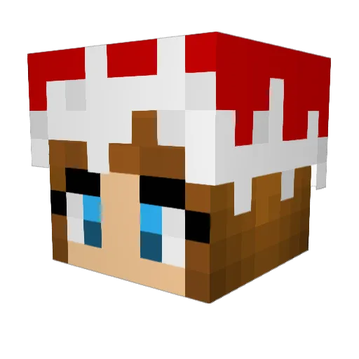 Mikasa071 Minecraft avatar head, 3D render