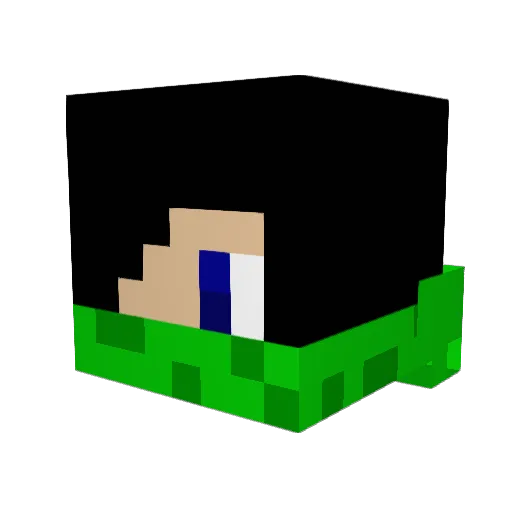 Mikasa2652 Minecraft avatar head, 3D render
