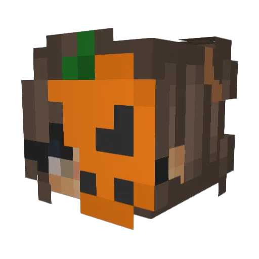 Mikasa_Dukasa Minecraft avatar head, 3D render