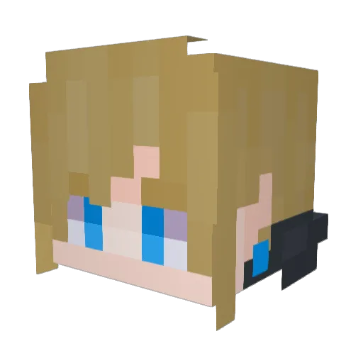 Mikau_Maine Minecraft avatar head, 3D render