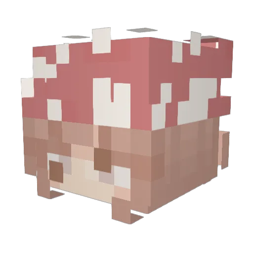Mikchisu Minecraft avatar head, 3D render