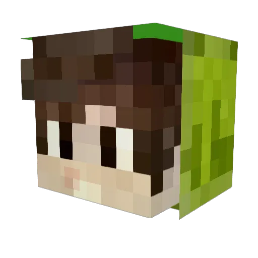 Mike1031 Minecraft avatar head, 3D render