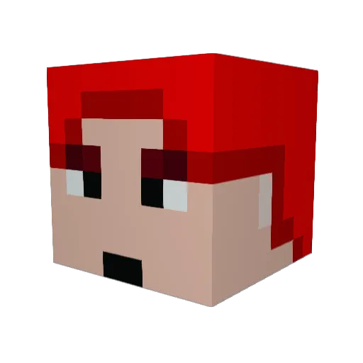 Mike6555 Minecraft avatar head, 3D render