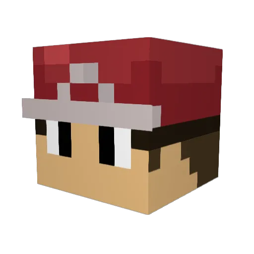 Mike71 Minecraft avatar head, 3D render
