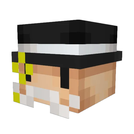 MikeRotch20 Minecraft avatar head, 3D render