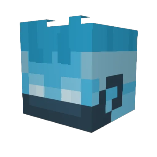 MikeTheBro2007 Minecraft avatar head, 3D render