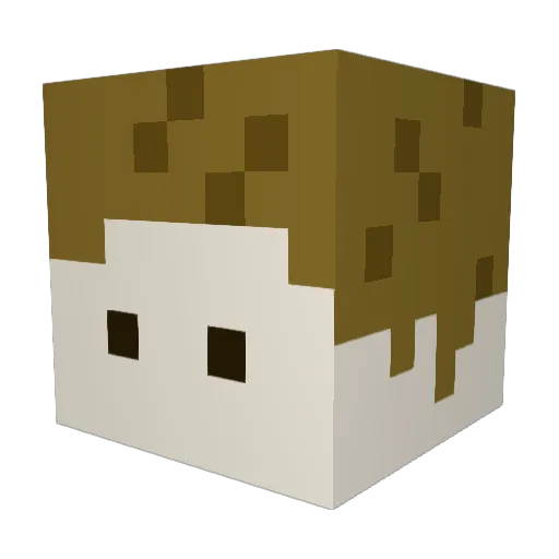 MikeTheRushman Minecraft avatar head, 3D render