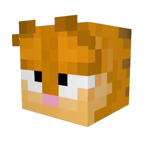 MikeYeeterson Minecraft avatar head, 3D render
