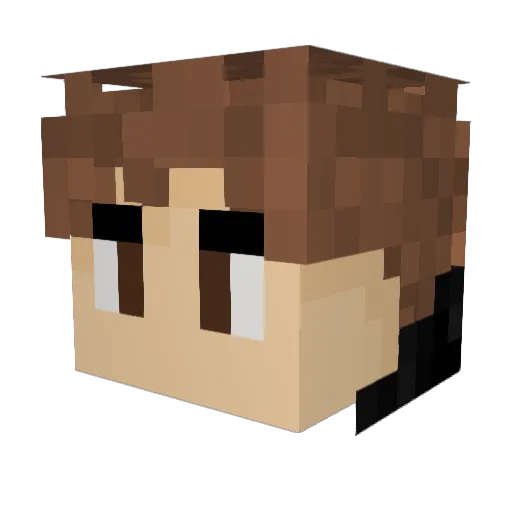 Mike_Thunder9 Minecraft avatar head, 3D render