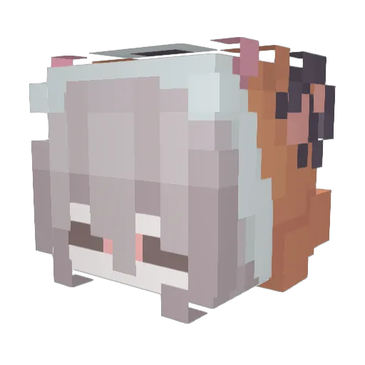 Mikedood Minecraft avatar head, 3D render