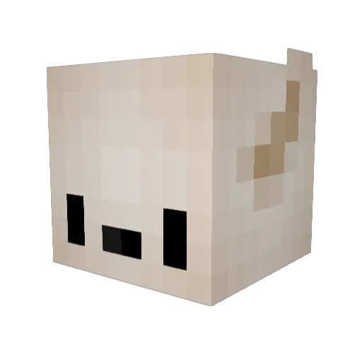 Mikeey07 Minecraft avatar head, 3D render