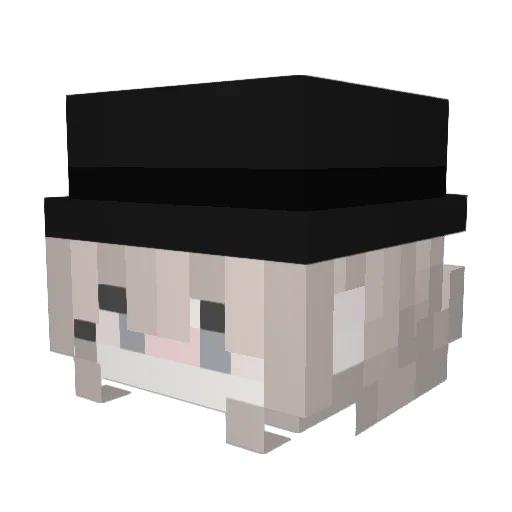 MikellyFPM Minecraft avatar head, 3D render