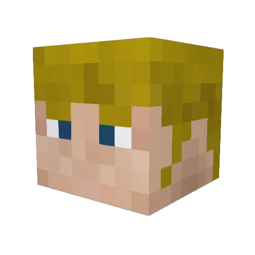 Mikenmike14 Minecraft avatar head, 3D render