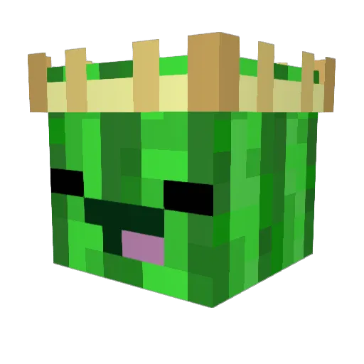 Mikes456 Minecraft avatar head, 3D render