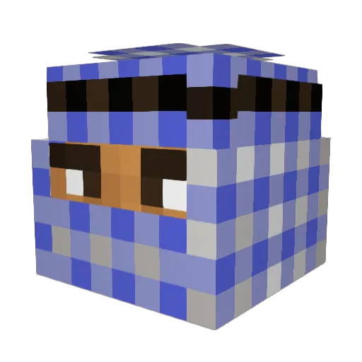 Mikey0828 Minecraft avatar head, 3D render