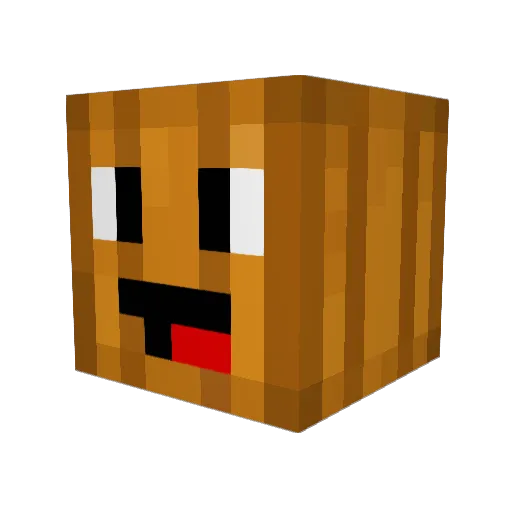 Mikey1_ Minecraft avatar head, 3D render