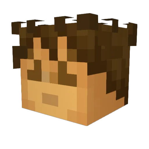 Mikey818 Minecraft avatar head, 3D render
