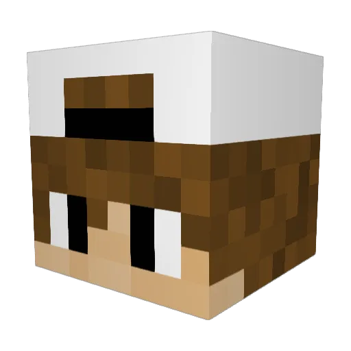 MikeyJ_25 Minecraft avatar head, 3D render