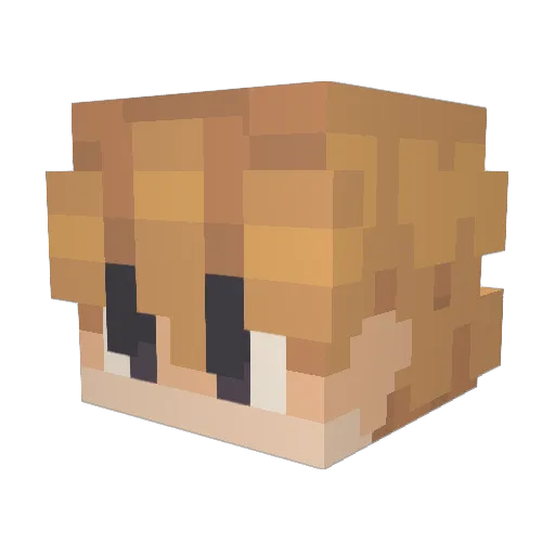 MikeyMikeMoo Minecraft avatar head, 3D render