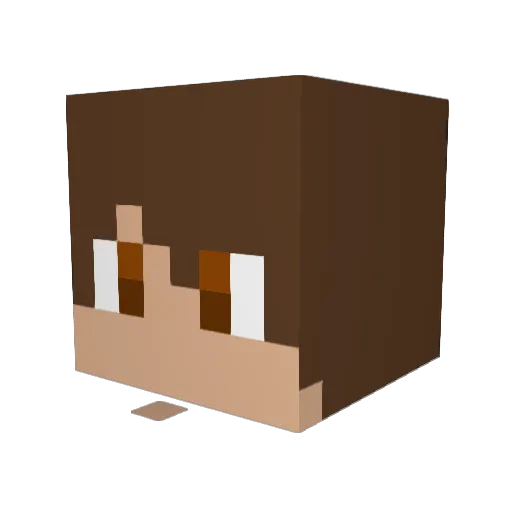 MikeyRules06 Minecraft avatar head, 3D render