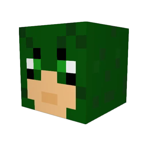 Mikey_1998 Minecraft avatar head, 3D render