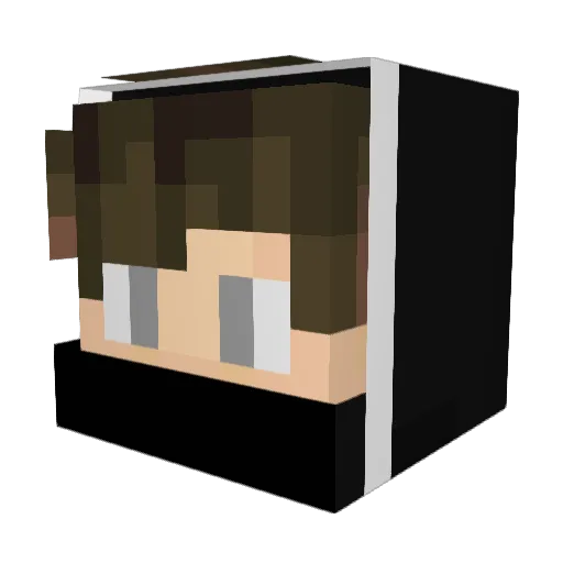 Mikeyyyyyboy Minecraft avatar head, 3D render