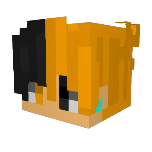 Miki23169 Minecraft avatar head, 3D render