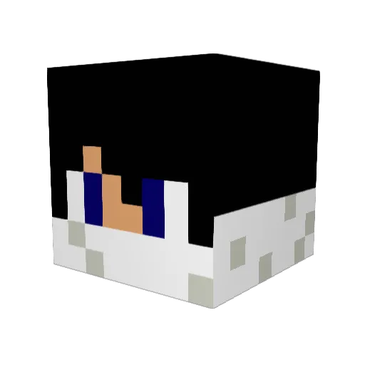 Mikie2000 Minecraft avatar head, 3D render