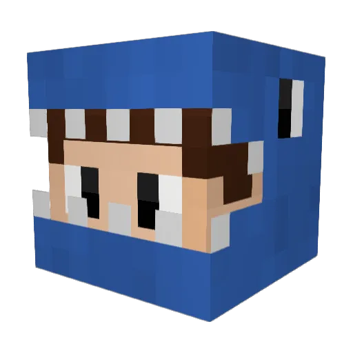 Mikkel219 Minecraft avatar head, 3D render