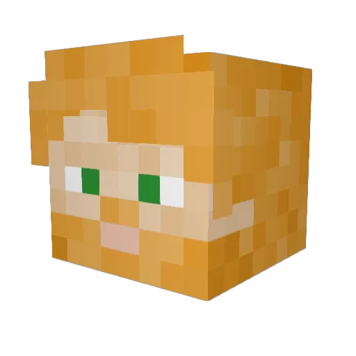 Mikkel3630 Minecraft avatar head, 3D render