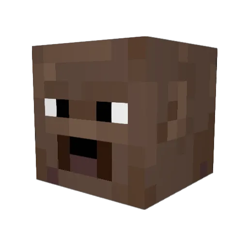 MikkelBlackBall Minecraft avatar head, 3D render